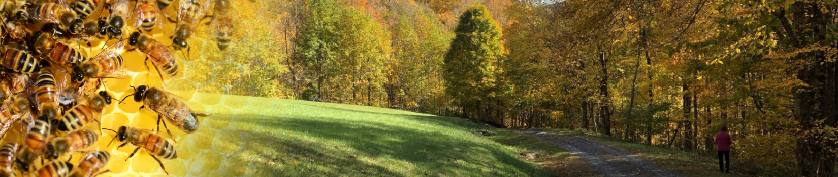 Hawk Mountain Homestead